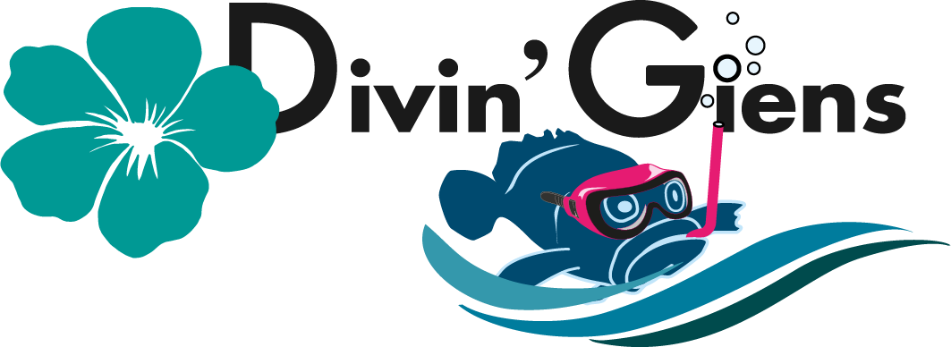 Divin’Giens Diving